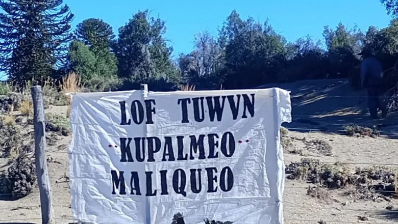 “No nos sentimos intimidados” dicen en la Lof Tuwvn Kupalmeo Maliqueo