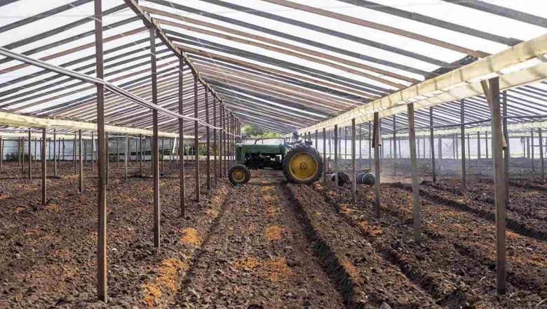 Producción de alimentos y necesidad de tierras: la agricultura campesina en números del INTA