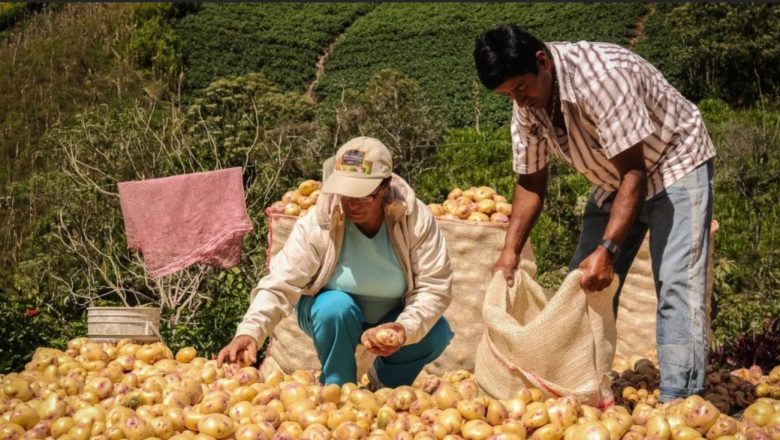 Los decretos de Milei afectan la producción de alimentos