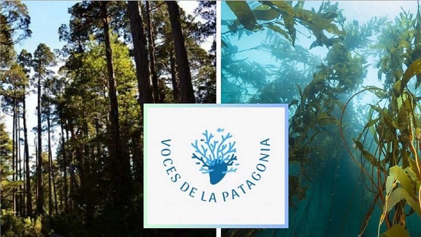 Pulmones del planeta en el fin del mundo: el poder oculto de los bosques azul y verde de la Patagonia / Nuevo episodio de Voces de la Patagonia