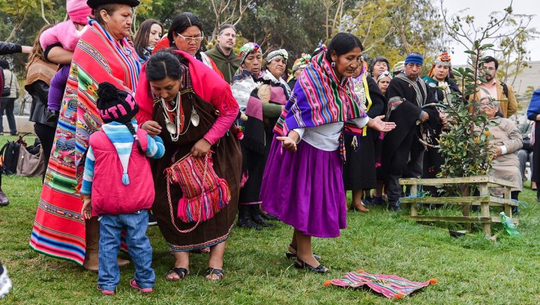 Mujeres indígenas y su preocupación por el cambio climático