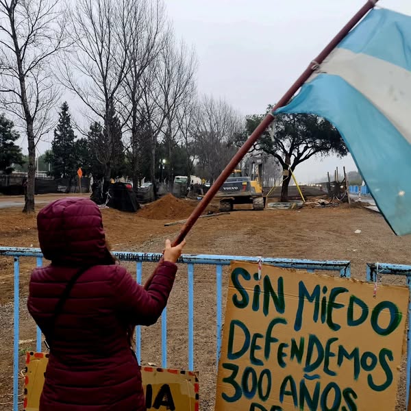 Villa Allende: con represión previa, finalmente fue trasladado el quebracho de casi 300 años
