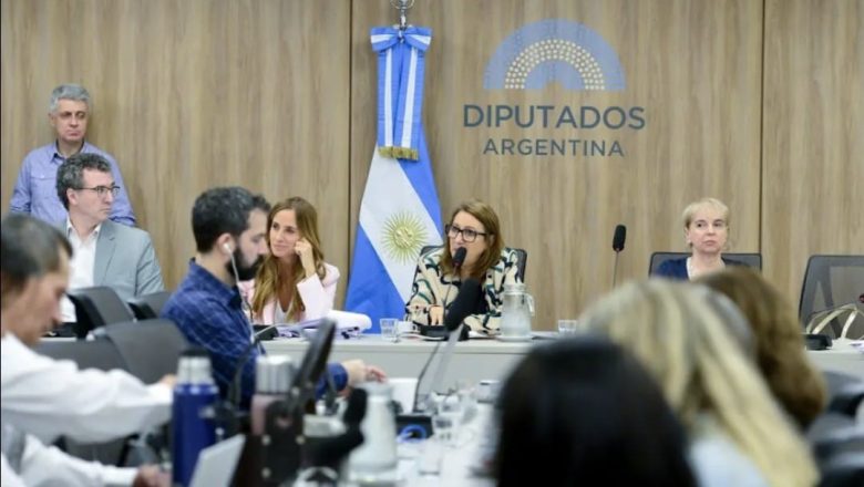 Fentanilo: Lugones no fue a Diputados pero sí a una reunión en la Fundación Libertad