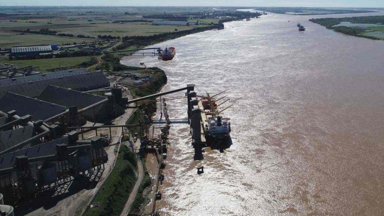 Milei y la soja: los peores negocios para la soberanía