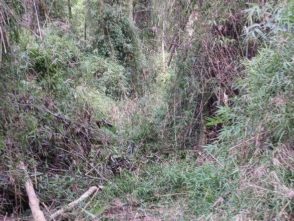 Asuntos Guaraníes: el organismo que facilita la entrega de los territorios