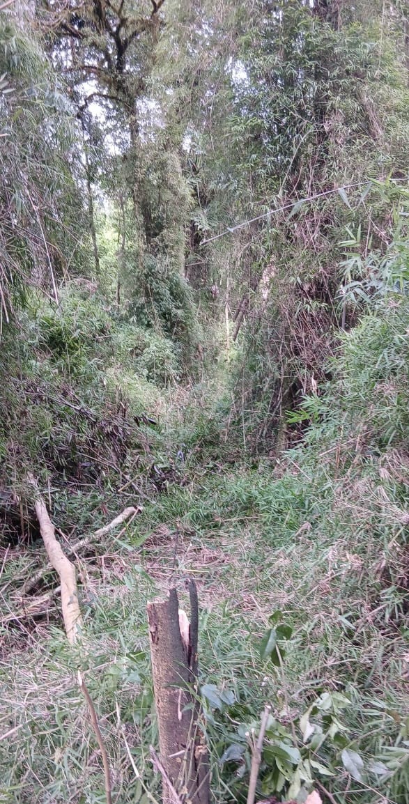 Asuntos Guaraníes: el organismo que facilita la entrega de los territorios