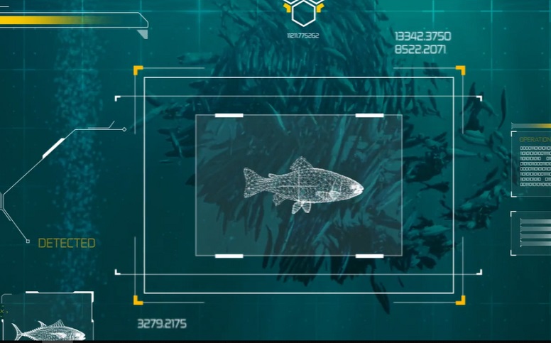 ¿Estado de Israel socio estratégico de la industria salmonera en la Patagonia de Chile? Webinar devela intereses en biotecnología, automatización y cooperación