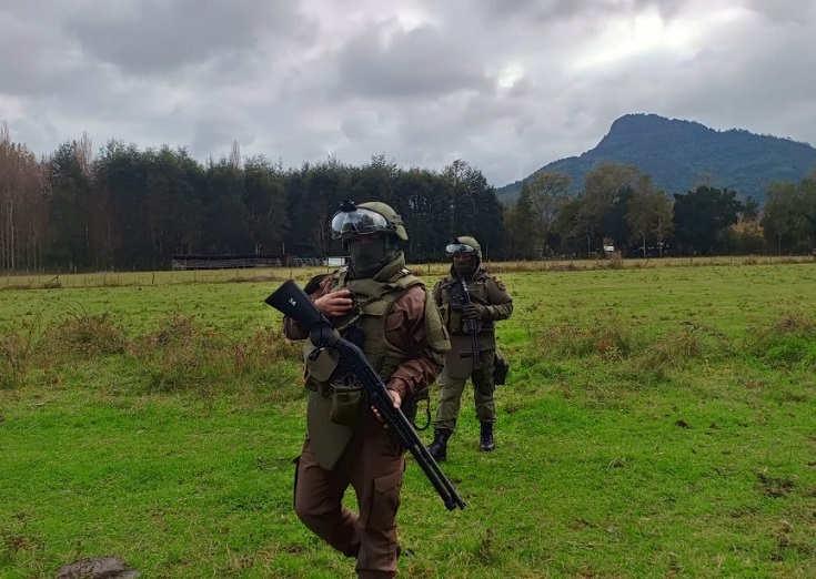 Destruyen ruca y espacios ceremoniales: comunidad mapuche denuncia violento desalojo en Lago Ranco sobre tierras con título antiguo (Chile)